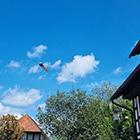 ausfluege puppenhaus